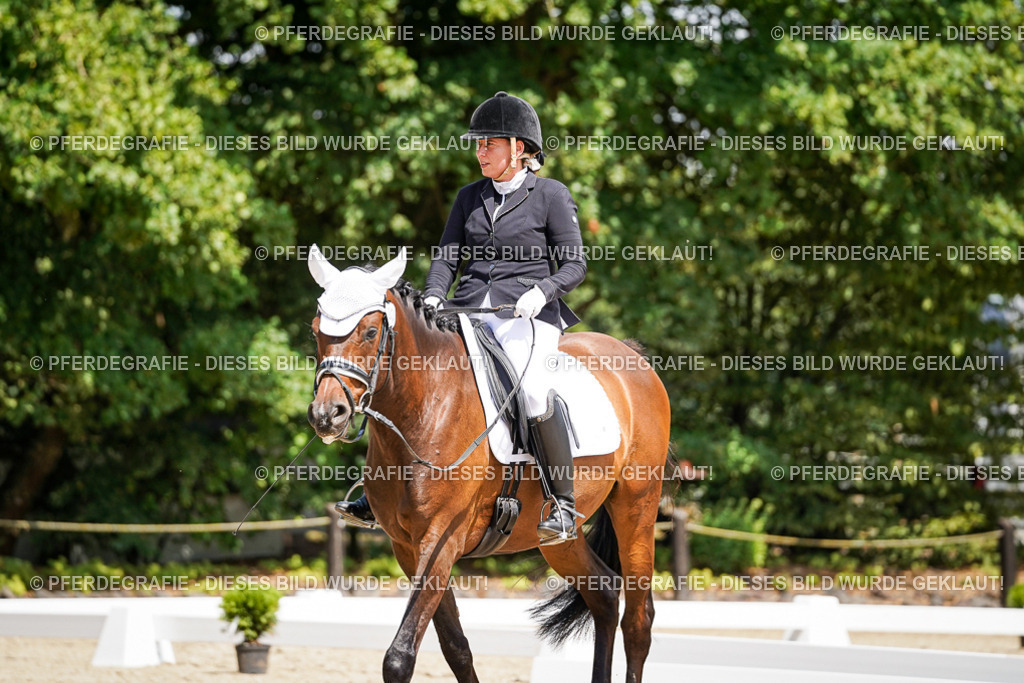 DSC01189 | Pferdegrafie