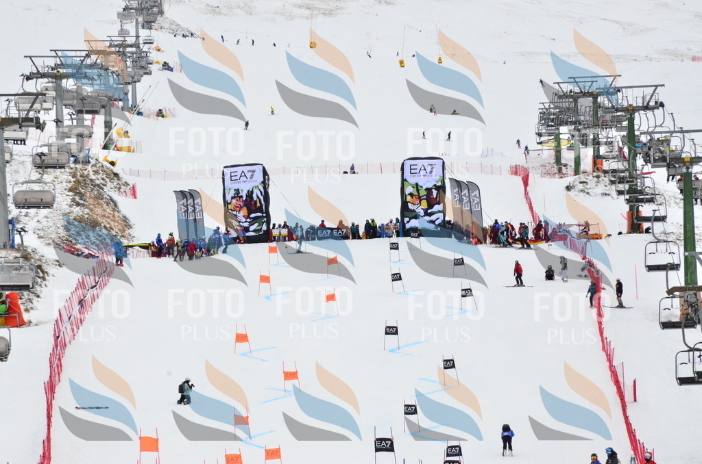 _ELE3567 | holidayphoto