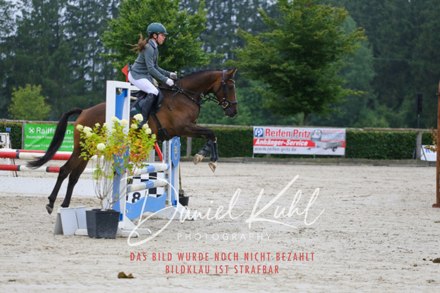 IMG_4943 | Turniersportfotografie; Pferdefotografie; Dressurfotografie