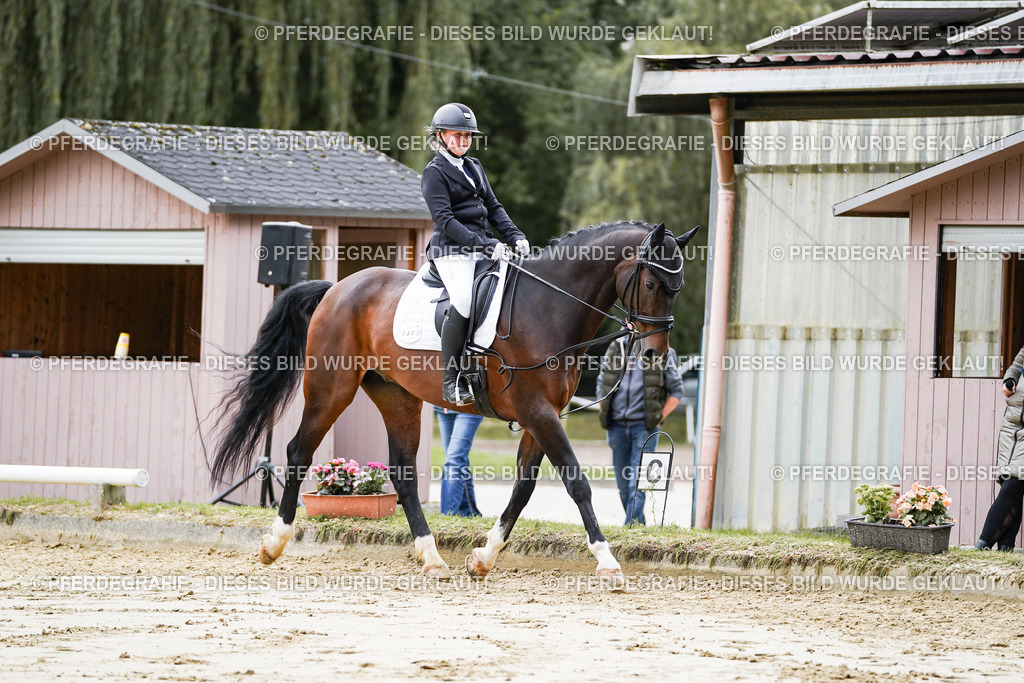 DSC05015 | Pferdegrafie