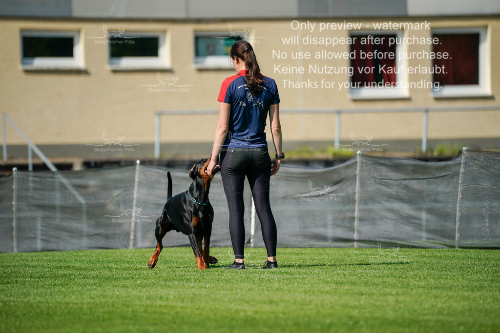 Samstag_Gehorsam (60 von 192) | stephaniefillaphotographie - Realisiert mit Pictrs.com