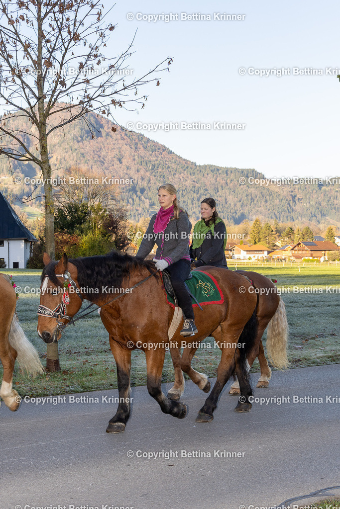 LL24-93 | foto-bettina-krinner - Realisiert mit Pictrs.com