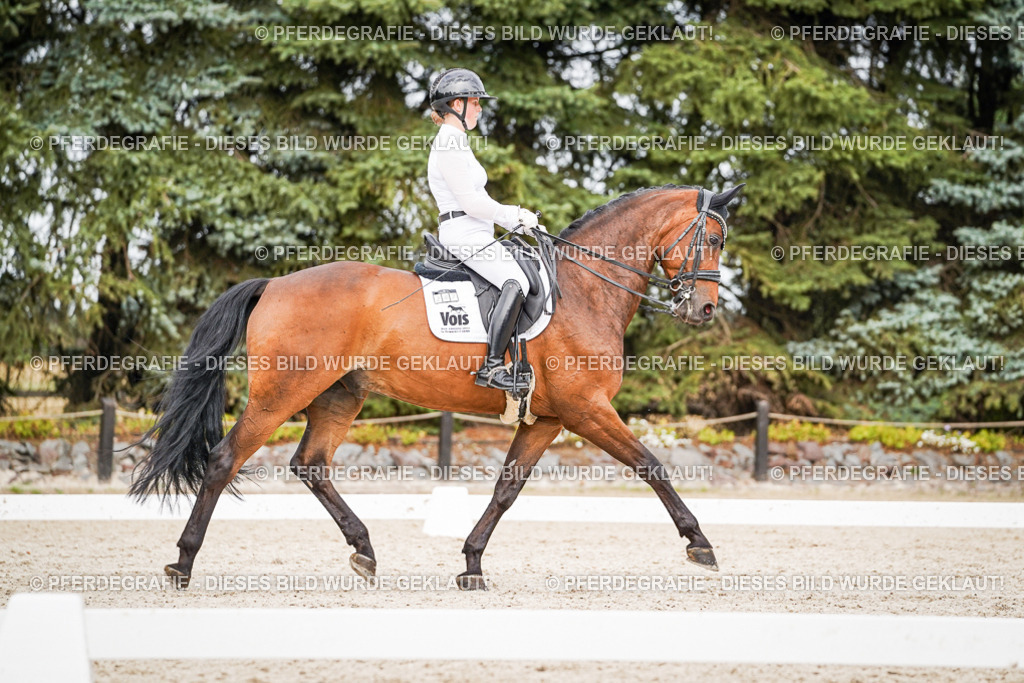 DSC06709 | Pferdegrafie