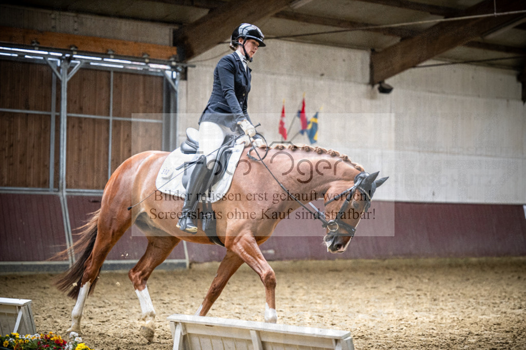 DOS_1591 | Reitturnier Lüdinghausen - Realisiert mit Pictrs.com