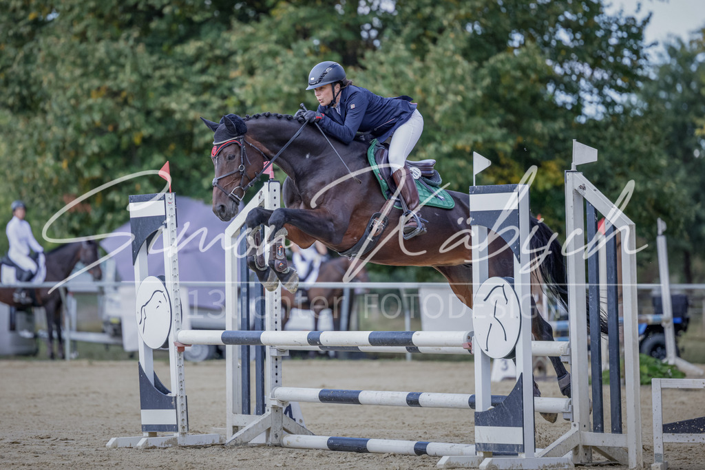 20250906-_3LI5927 | Tierfotografie Pferde, Hunde, Katzen, Haustiere.
Turnierfotografie Reitturniere, Reiten, Springreiten, Dressur in Hanau, dem Main-Kinzig-Kreis und dem Rhein-Main- Gebiet um Frankfurt