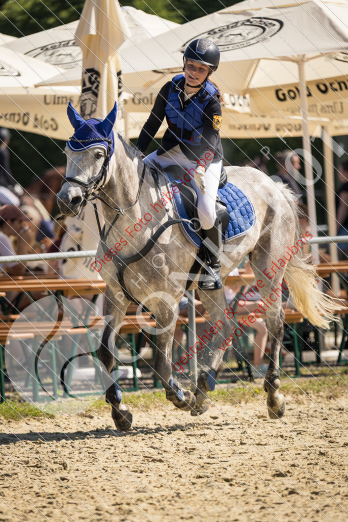 IMG_3156 | Sport-, Event- und Tierfotos in Profiqualität. Einfach auswählen, bestellen und herunterladen. Dein Moment – perfekt festgehalten.