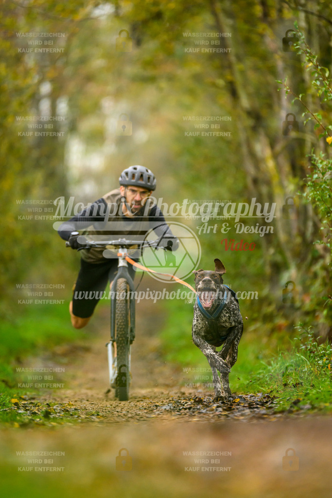 MompixPhotography_20TSB_E6_DS1-35 | PayLife