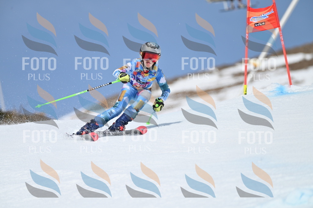 BGV_2383 | holidayphoto