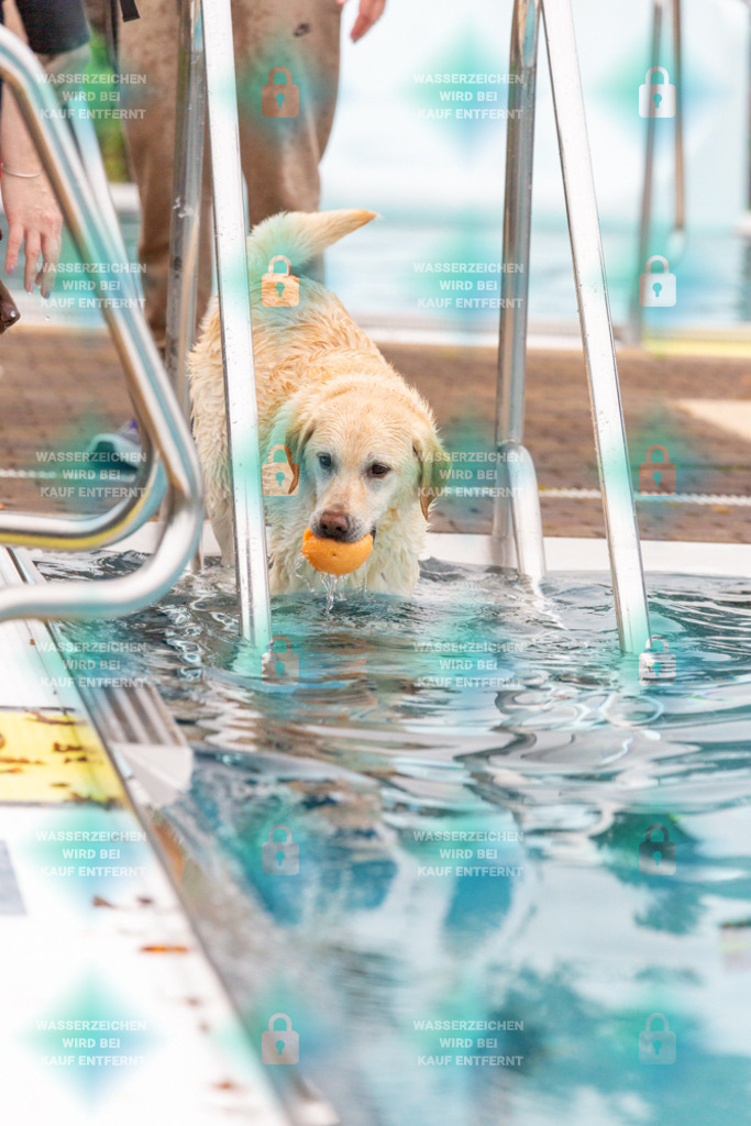 _HP_7204_1000o | HetPix, HetPix Fotodesign, Fotografie, Fotodesign, Webshop, Sportfotografie, Portraitfotografie, Onlineshop, Sportfotografie, Polch, Motorsportfotografie, Eventfotografie