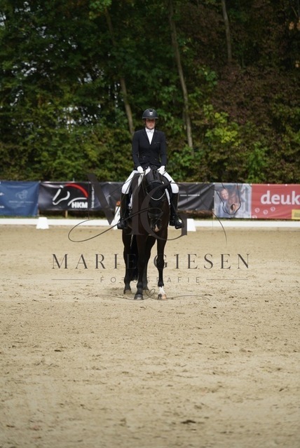 VAN01150 | Marie Giesen Fotografie - Realisiert mit Pictrs.com