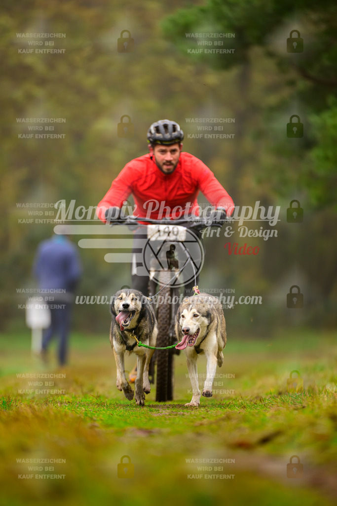 MompixPhotography_Bischwiller2025_Bike-117 | mompixphotography