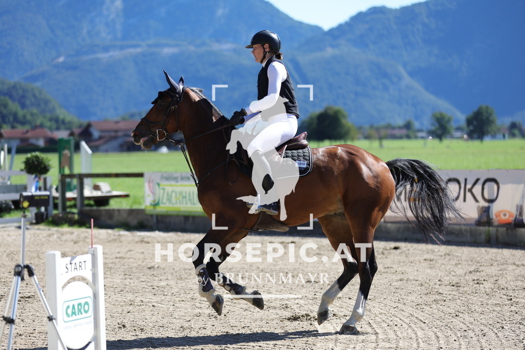 0P6A6982 | Willkommen bei Brunnmayr - Design & Fotografie – Ihrem Spezialisten für Reitturniere und Pferdeveranstaltungen in Oberösterreich, Salzburg und Bayern! Seit über 17 Jahren sind wir leidenschaftlich dabei.