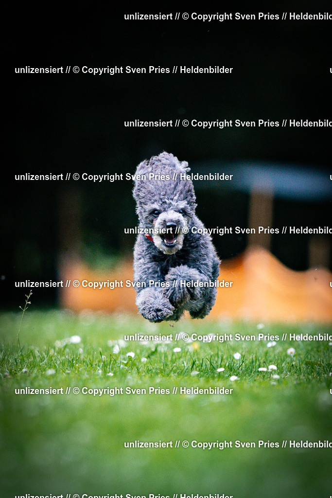 Sven Pries | 2025-05-29 - Pudelrennen KA-Durlach - Realisiert mit Pictrs.com