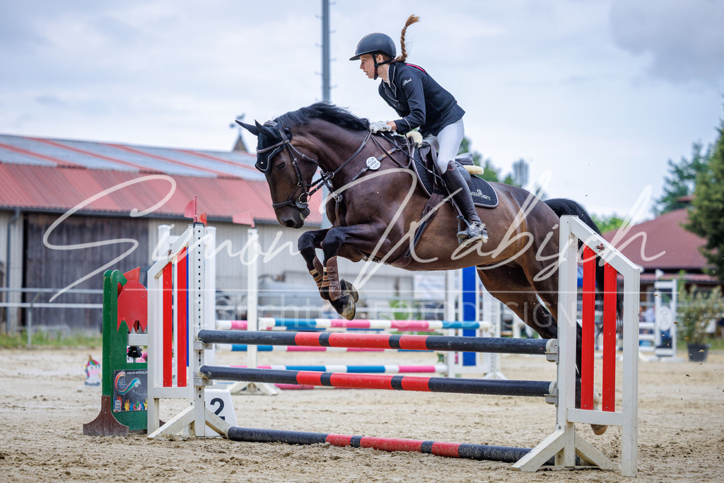 20260705-_3LI3705 | Tierfotografie Pferde, Hunde, Katzen, Haustiere.
Turnierfotografie Reitturniere, Reiten, Springreiten, Dressur in Hanau, dem Main-Kinzig-Kreis und dem Rhein-Main- Gebiet um Frankfurt