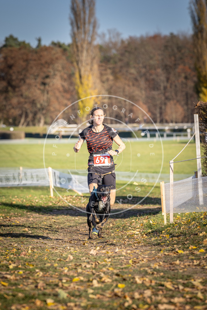 CaniXpix_DV3A1261 | Hundefotografie, Tierfotograf, Pfotenfotografie, Fotoshooting Hund, Hunde Portrait, Hundesport, Hundeportraits, Heideshooting, Hunde, Sportfotograf, Hundefotograf, Turnierhundsport, THS,  - Realisiert mit Pictrs.com