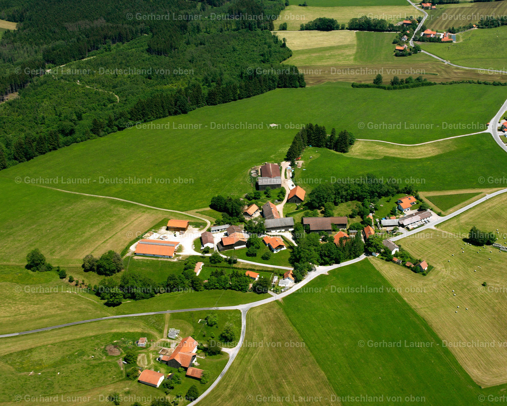 2618330 | Buchschorn, Hohenpeißenberg