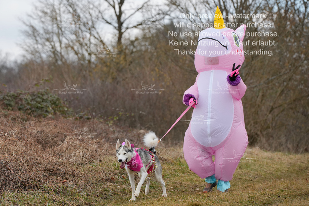 Fasching-24 | stephaniefillaphotographie - Realisiert mit Pictrs.com