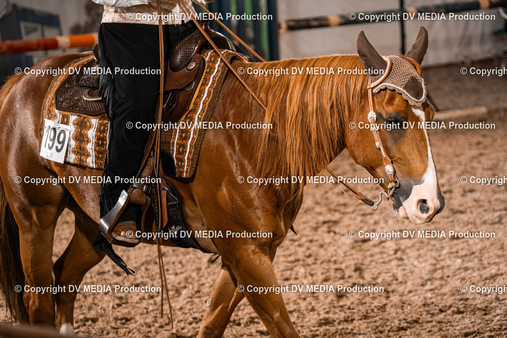 ZH300428 | dv-media-shop - Realisiert mit Pictrs.com