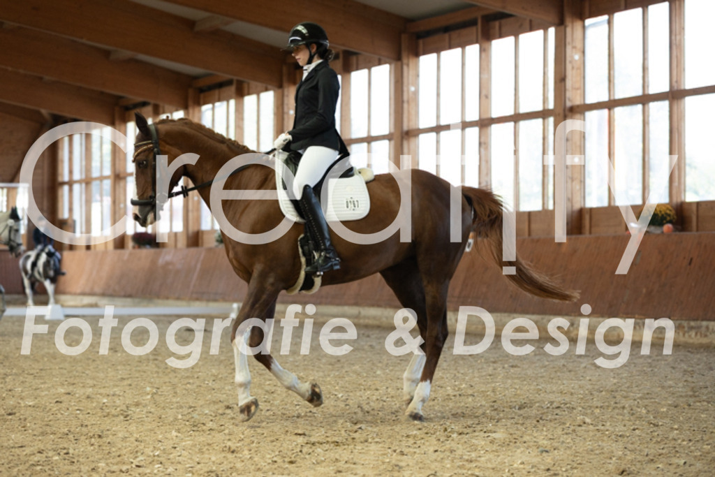 IMG_5238 | Creatify Fotografie