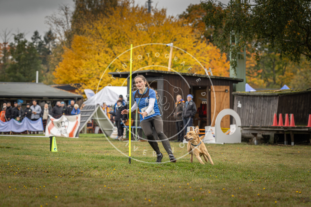 Pfotenfotografie_DV3A3024 | Hundefotografie, Tierfotograf, Pfotenfotografie, Fotoshooting Hund, Hunde Portrait, Hundesport, Hundeportraits, Heideshooting, Hunde, Sportfotograf, Hundefotograf, Turnierhundsport, THS,  - Realisiert mit Pictrs.com