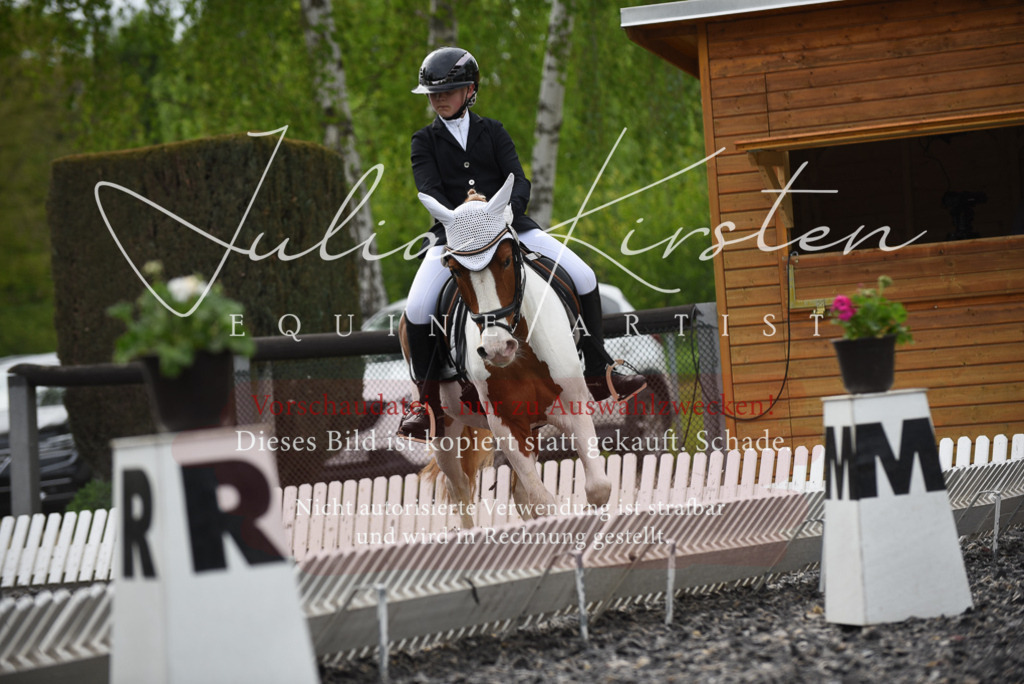 20230513_JK-Röhrsdorf-16-254 | Pferde- und Turnierfotografie in Westsachsen. Pferdeportraits, Auftragszeichnungen und intuitive Kunst.