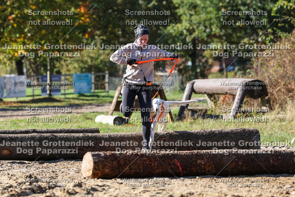 Dog Paparazzi - Strongdog 10-25-2748 | Dog Paparazzi Jeanette Grottendiek Fotografie & Videografie - Realisiert mit Pictrs.com