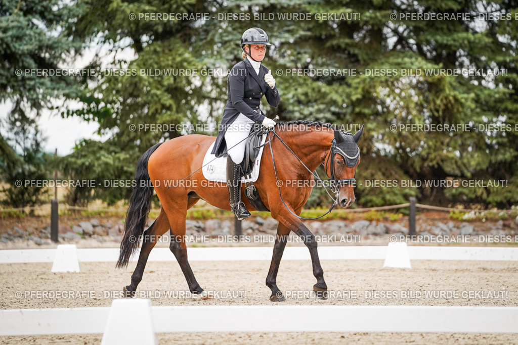 DSC07321 | Pferdegrafie