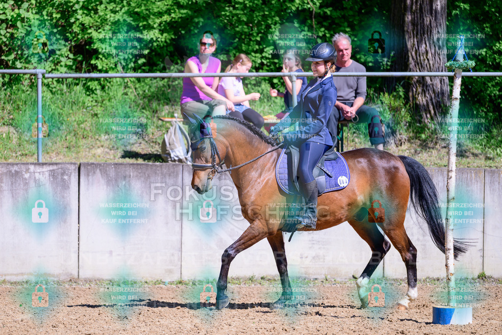 01052026-Giesenbach-02-Stiltrail-0604 | Fokus Hufschlag Fotografie - Realisiert mit Pictrs.com