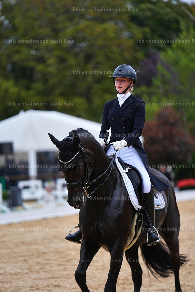 8_1-212-Klasse S_  -Marixx-4272 | working equitationturnier fotograf videograf stoibphotography marixx film working equitation deutschland reitsport turnierfotografie eventfotografie equestrian events