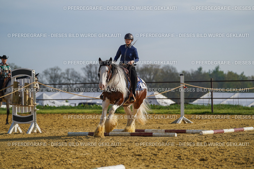 DSC00928 | Pferdegrafie