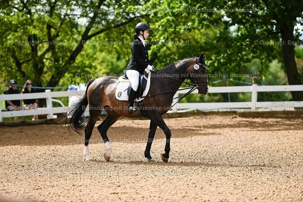 20230716_10-1_Reiter-WB Schritt - Trab - Galopp_0113 | equistock