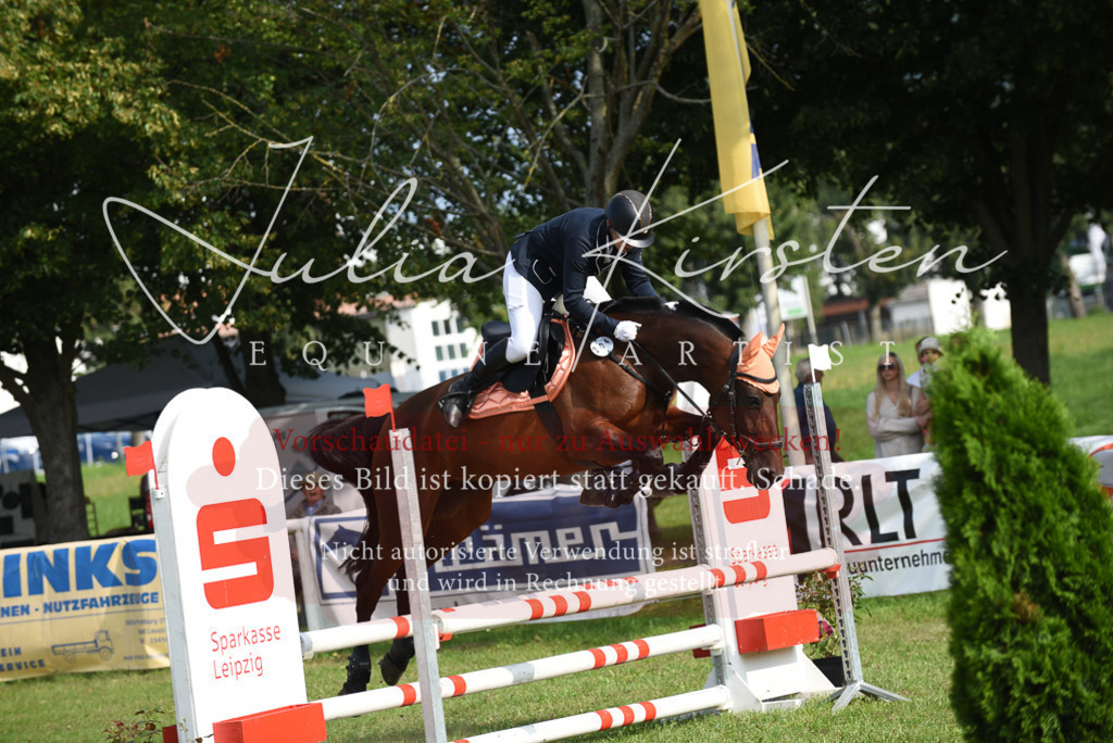 DSC_8813 | Pferde- und Turnierfotografie in Westsachsen. Pferdeportraits, Auftragszeichnungen und intuitive Kunst.