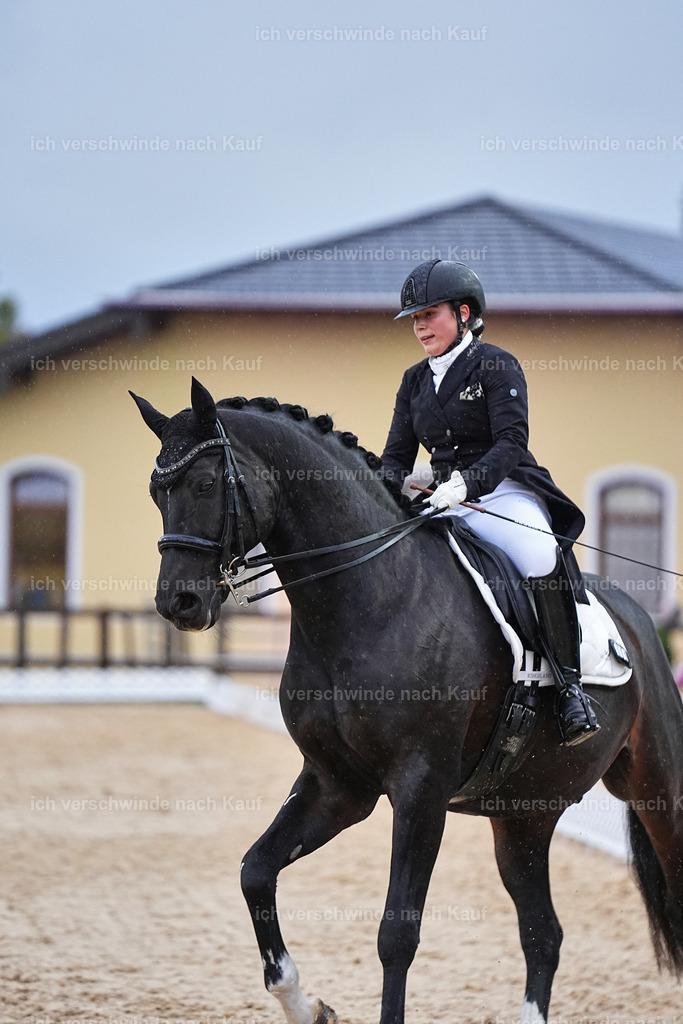 8_2-183-DRESSUR S_  -Marixx-4647 | working equitationturnier fotograf videograf stoibphotography marixx film working equitation deutschland reitsport turnierfotografie eventfotografie equestrian events