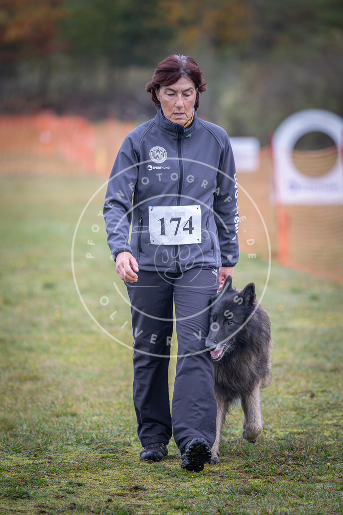 Pfotenfotografie_DV3A9245 | Hundefotografie, Tierfotograf, Pfotenfotografie, Fotoshooting Hund, Hunde Portrait, Hundesport, Hundeportraits, Heideshooting, Hunde, Sportfotograf, Hundefotograf, Turnierhundsport, THS,  - Realisiert mit Pictrs.com