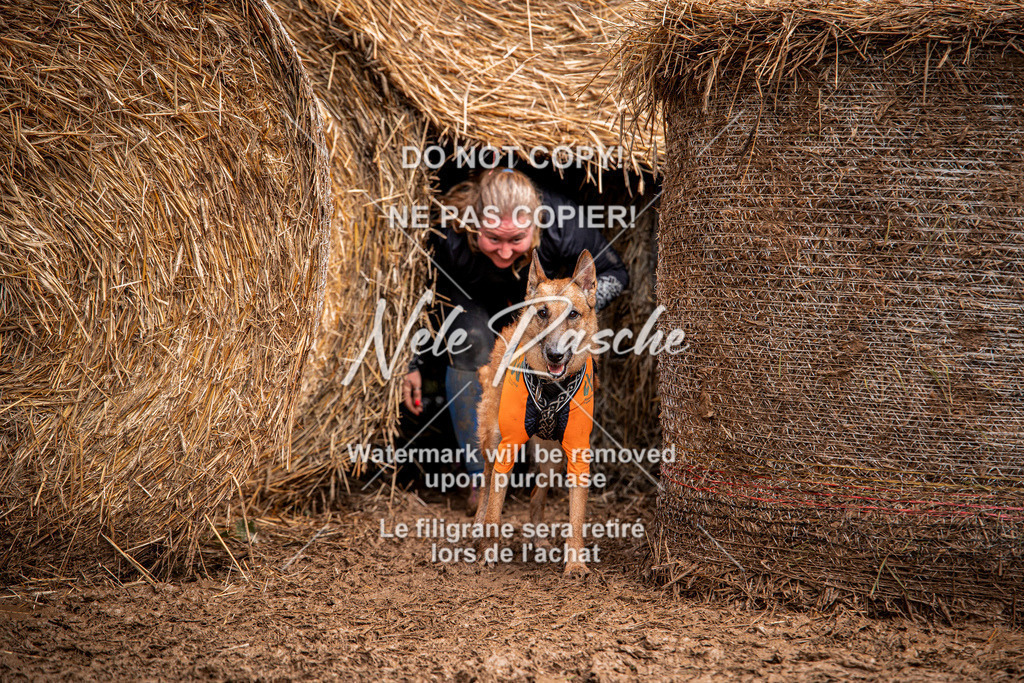 nelerasche_Hunsrück_So09-11_346 | nelerasche