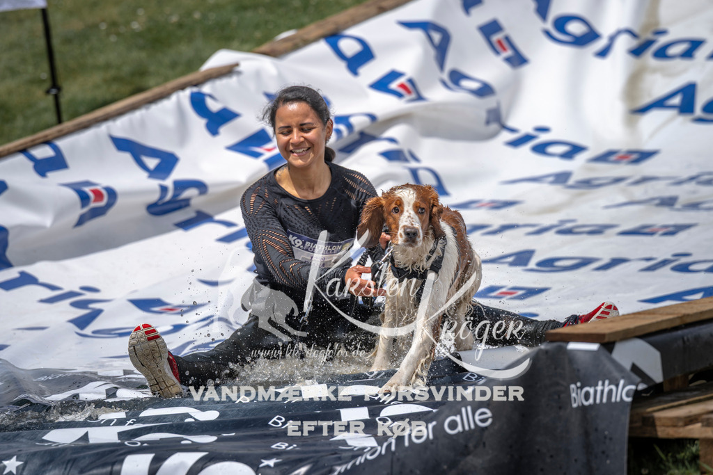 1155_ZZ94262 | kk-dogfotos