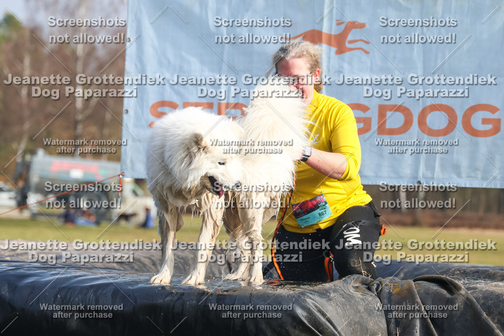 Dog Paparazzi - Strongdog North Mrz26-2240 | Dog Paparazzi Jeanette Grottendiek Fotografie & Videografie - Realisiert mit Pictrs.com