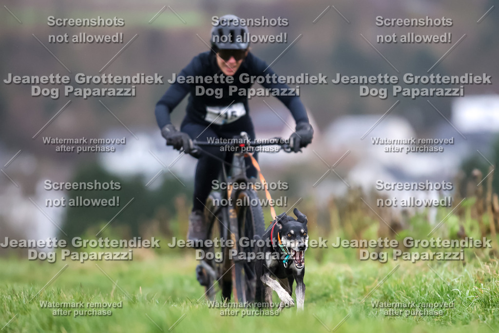 Dog Paparazzi - Herkules Race  2025-15 | Dog Paparazzi Jeanette Grottendiek Fotografie & Videografie