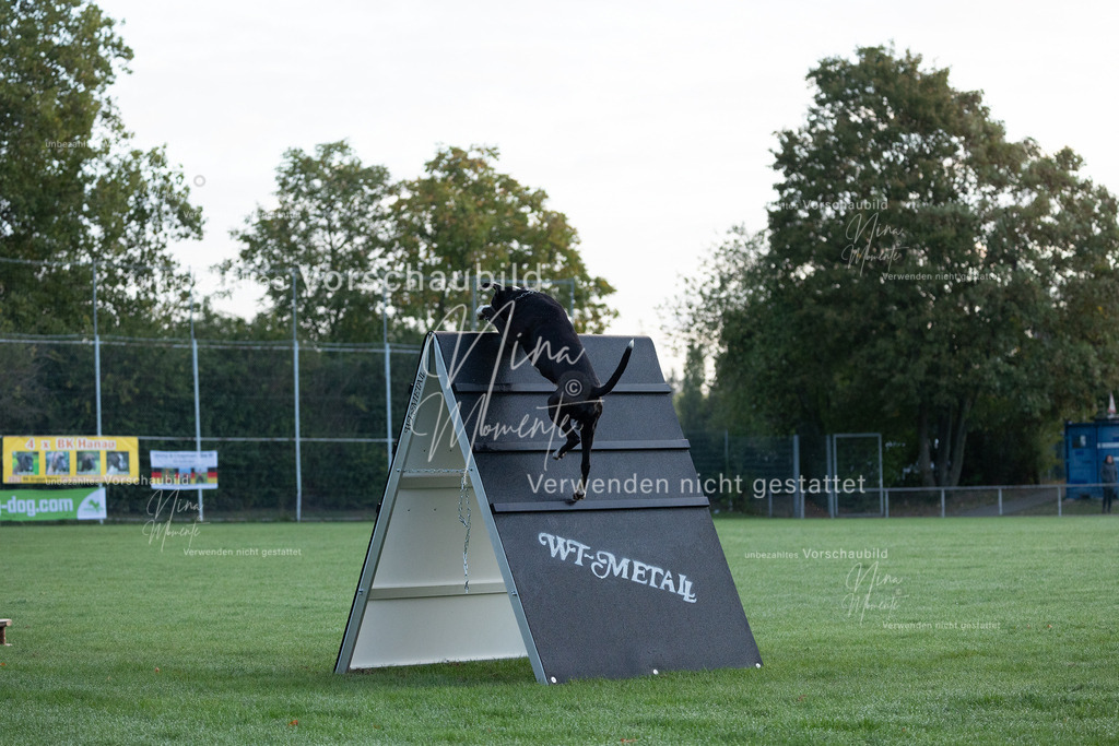 _16A5754 | Einzigartige Fotos von Hunden & Menschen –Actionfotos, Portraits, Vereinsaufnahmen & Paarshootings – authentisch, lebendig & mit Herz.