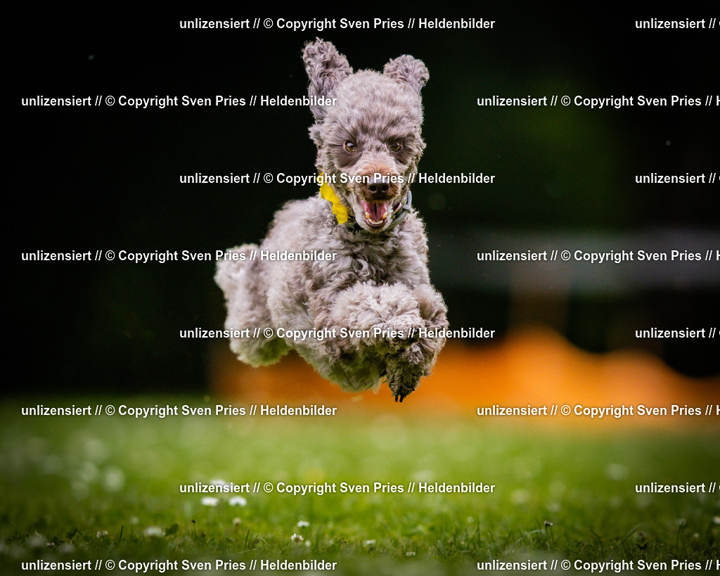 Sven Pries | 2025-05-29 - Pudelrennen KA-Durlach - Realisiert mit Pictrs.com