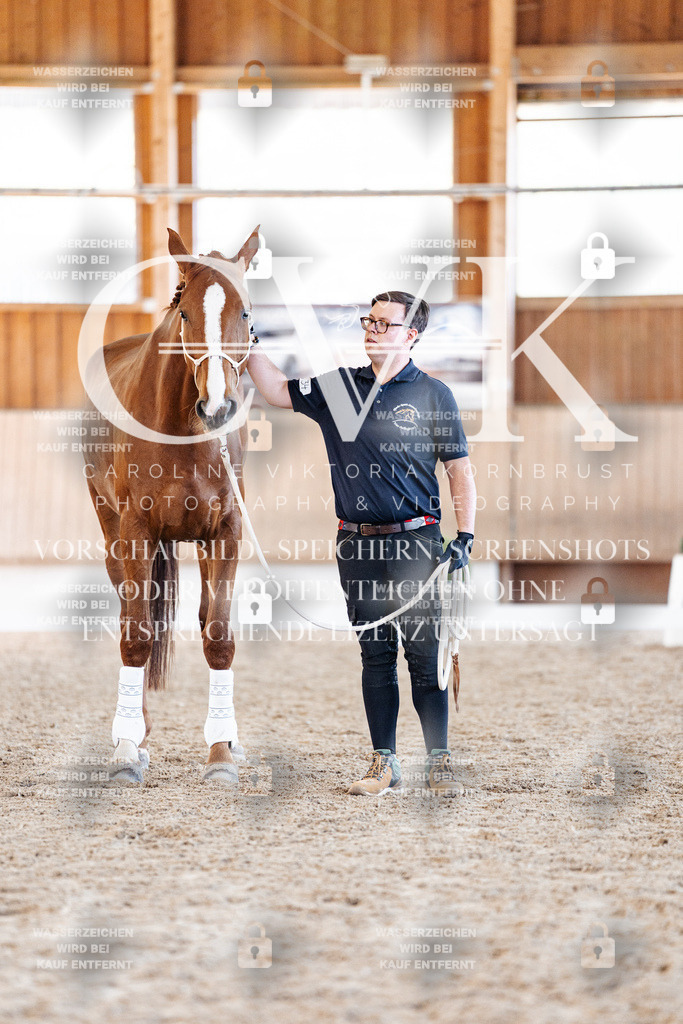 CK906674 | Turnierfotografie Pferdefotografie Trier Rheinland-Pfalz Pferdesport Reitsport Tierfotografie Sportfotografie Pferdevideo Pferdevideografie Equestrianvideography equestrianphotography  - Realisiert mit Pictrs.com