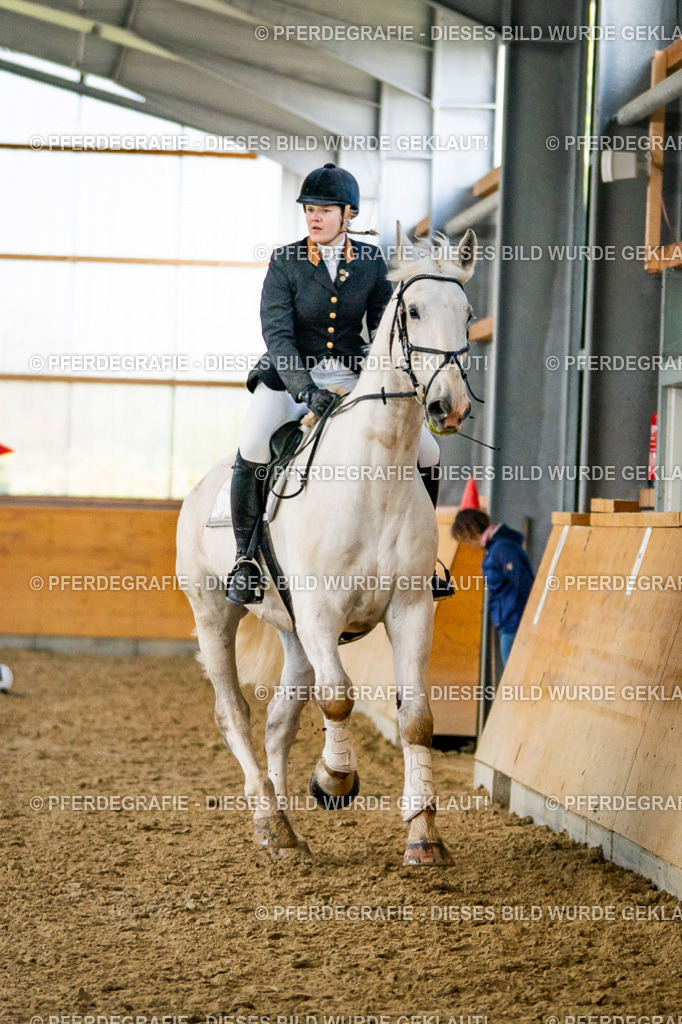 DSC00728 | Pferdegrafie