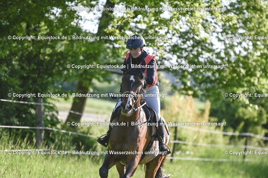 20250517_CCI2_Gelände_0183 | Foto: Thomas Hartig