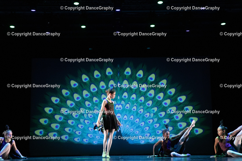 GPHY6153 | DanceGraphy - Realisiert mit Pictrs.com