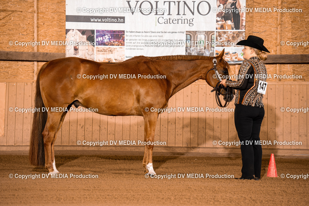 NE100018 | dv-media-shop - Realisiert mit Pictrs.com