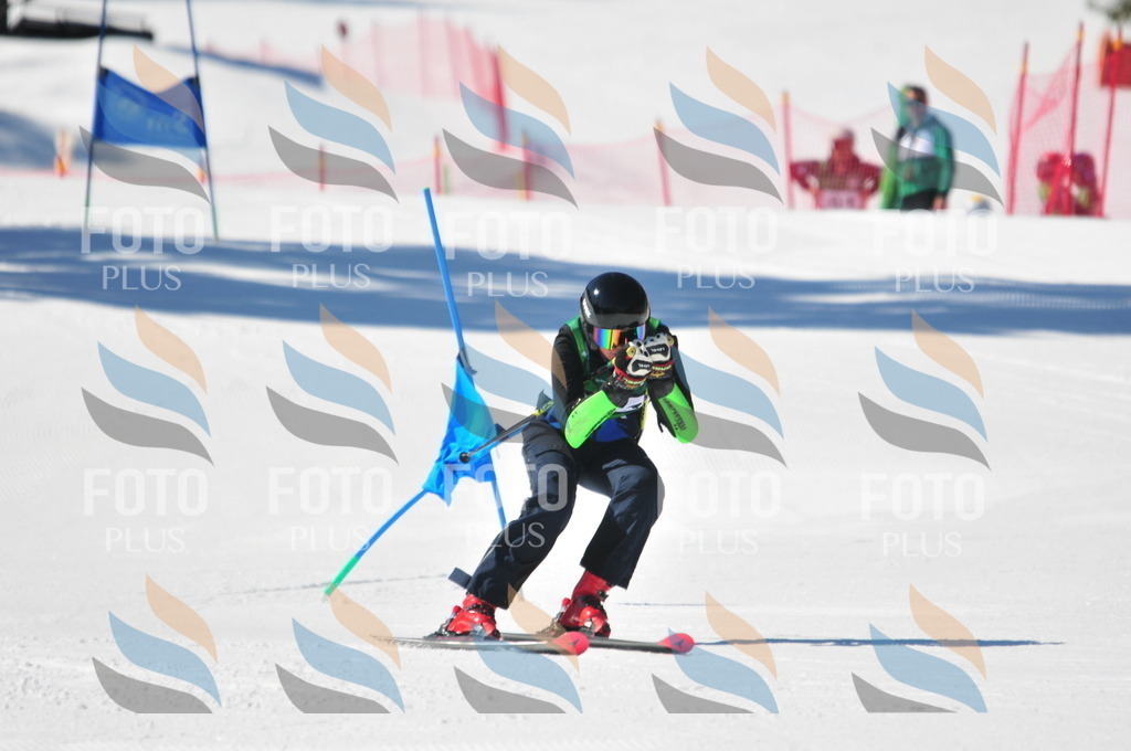 C4225 | holidayphoto