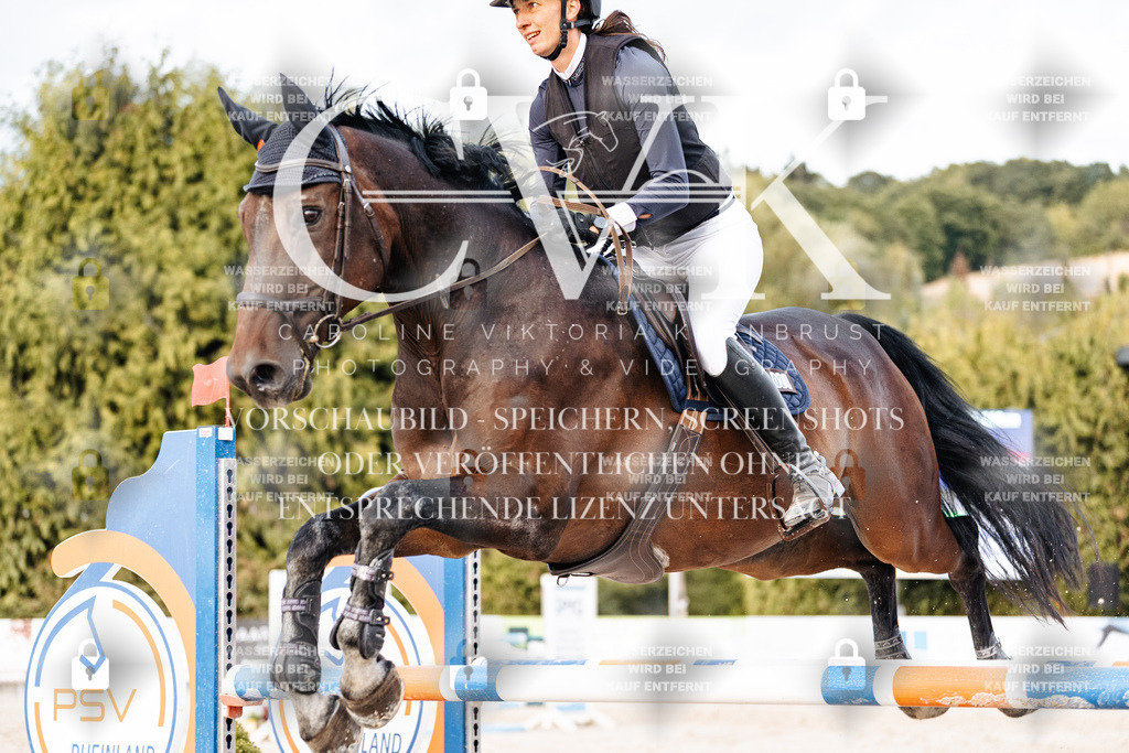 CK904002 | Turnierfotografie Pferdefotografie Trier Rheinland-Pfalz Pferdesport Reitsport Tierfotografie Sportfotografie Pferdevideo Pferdevideografie Equestrianvideography equestrianphotography  - Realisiert mit Pictrs.com