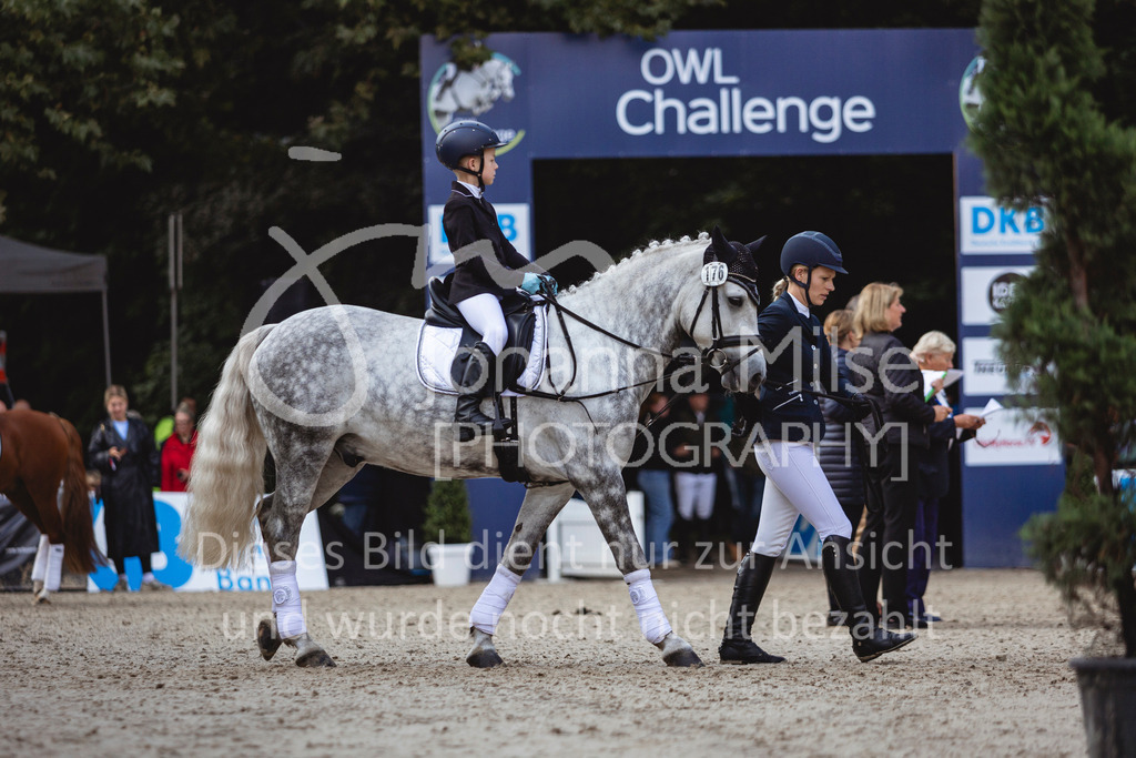 240915_OWLCh_FuehrzuegelWB-604 | Deine schönsten Turniermomente als professionelle Fotos! Entdecke hochwertige Pferdesport-Fotografie im Online-Shop. Jetzt Fotos finden & bestellen!