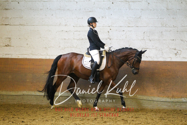 DKP43481 | Turniersportfotografie; Pferdefotografie; Dressurfotografie