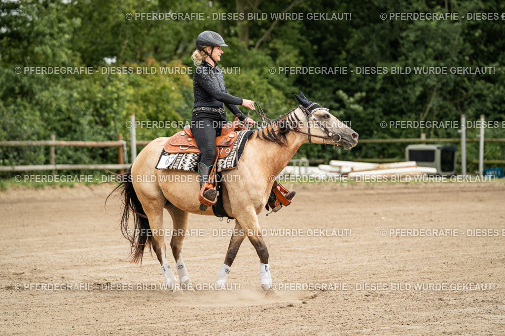 DSC04741 | Pferdegrafie